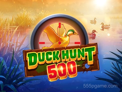 Duck Hunt 500